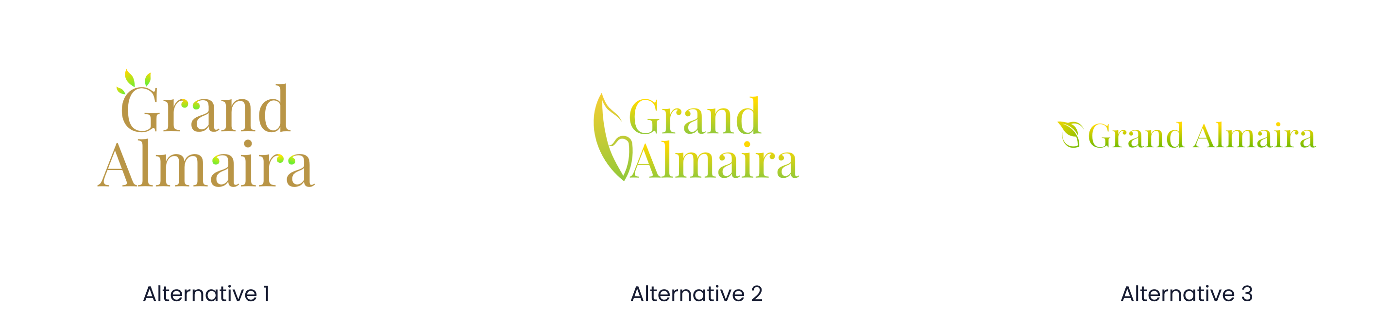 Logo Options